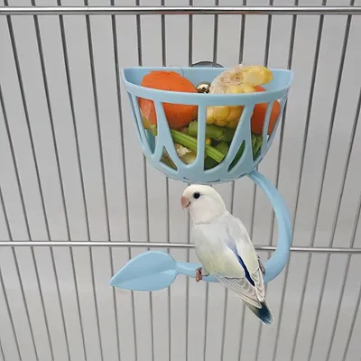 FurryFusion Mangeoire à fruits et légumes pour perroquets FurryFusion Mangeoire à fruits et légumes pour perroquets