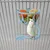 FurryFusion Mangeoire à fruits et légumes pour perroquets FurryFusion Mangeoire à fruits et légumes pour perroquets