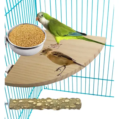 UAMLY Mangeoire à oiseaux avec clip