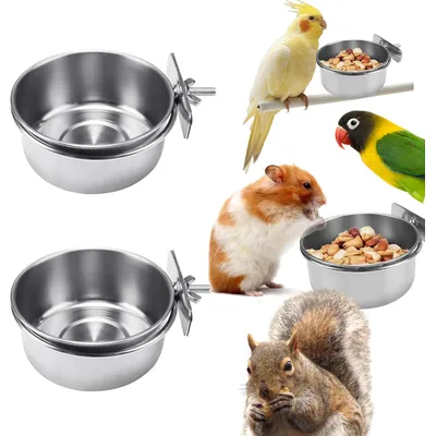 UAMLY Mangeoire à oiseaux avec clip