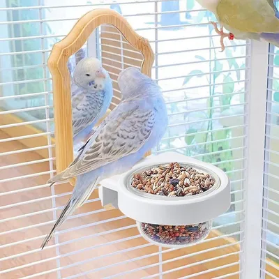 ZenPets Gamelle pour perruches
