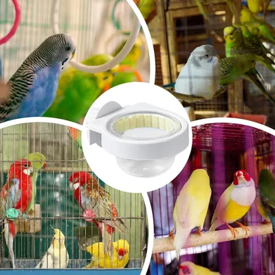 ZenPets Gamelle pour perruches