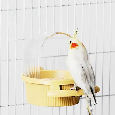 ZenPets Mangeoire à oiseaux pour cage