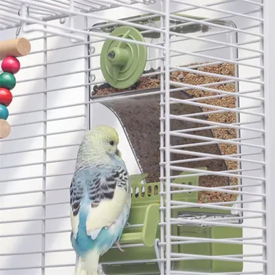 IntiMeg Mangeoire automatique pour oiseaux