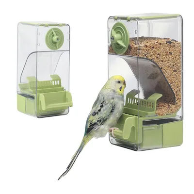IntiMeg Mangeoire automatique pour oiseaux