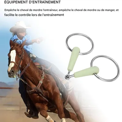 ZooVenture Mors De Filet Pour Chevaux