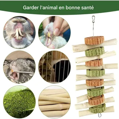 ZooVenture Juego de 2 juguetes dispensadores de premios animales pequeños