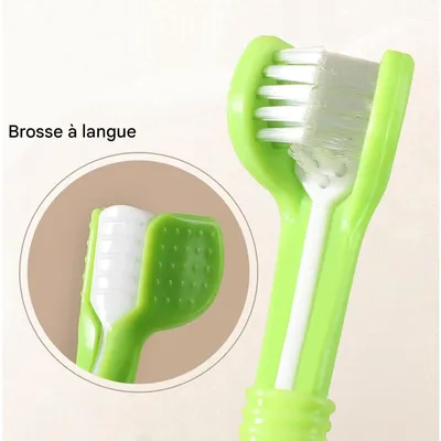 Pet Planet Lot de 4 Brosse à Dents Pour Chiens et Chats