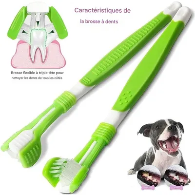 Pet Planet Brosse à Dents Pour Chiens et Chats