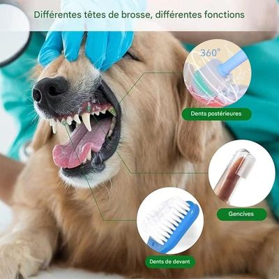 Pet Planet Brosse à Dents Pour Chiens et Chats