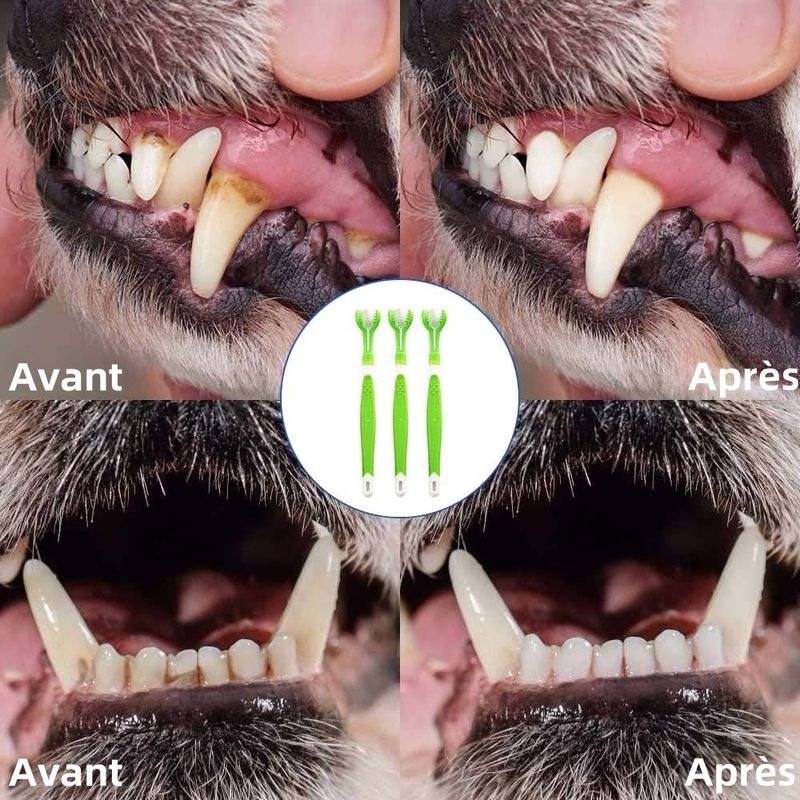 Pet Planet Lot de 3 Brosse à Dents Pour Chien et Chat