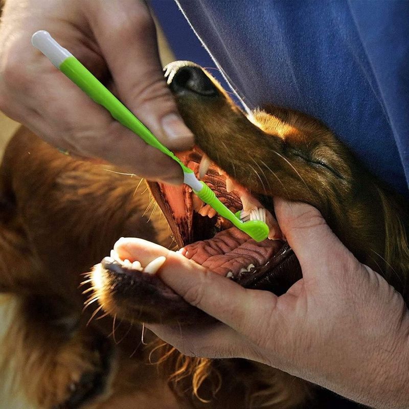 Pet Planet Lot de 3 Brosse à Dents Pour Chien et Chat