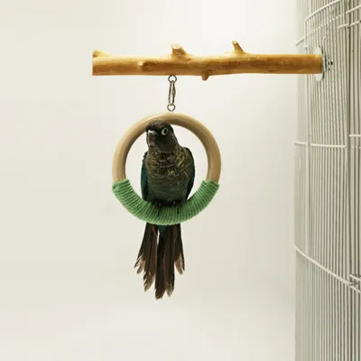 ZenPets Perchoir à oiseaux