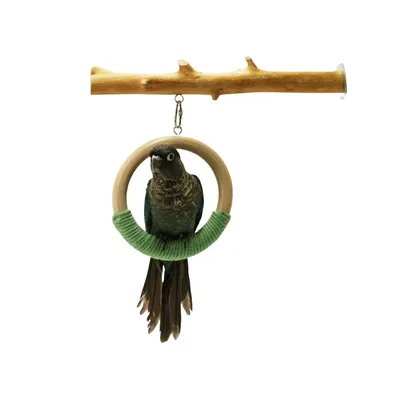 ZenPets Perchoir à oiseaux