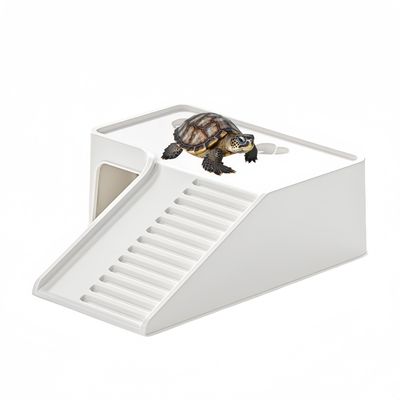 FurryFusion Terrasse ensoleillée Turtle