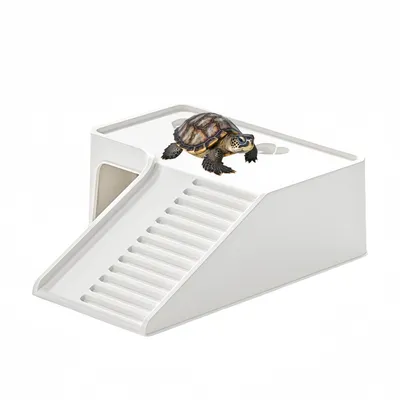 FurryFusion Terrasse ensoleillée Turtle