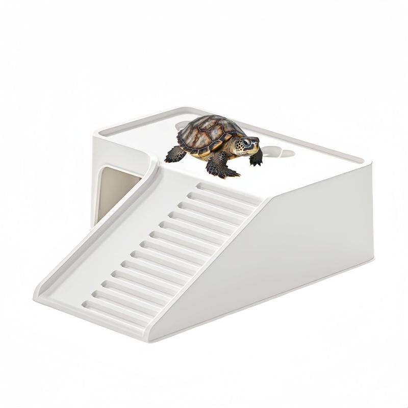 FurryFusion Terrasse ensoleillée Turtle