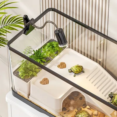 FurryFusion Terrasse ensoleillée Turtle