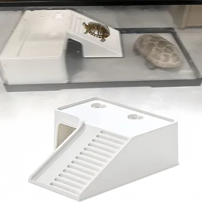 FurryFusion Terrasse ensoleillée Turtle