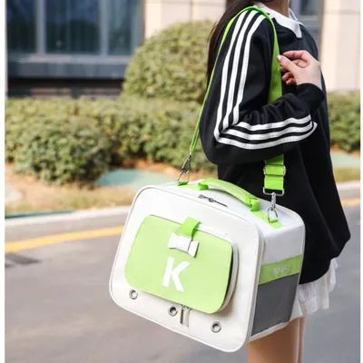 ZenPets Sac à dos extensible pour chat