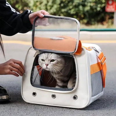 ZenPets Sac à dos extensible pour chat