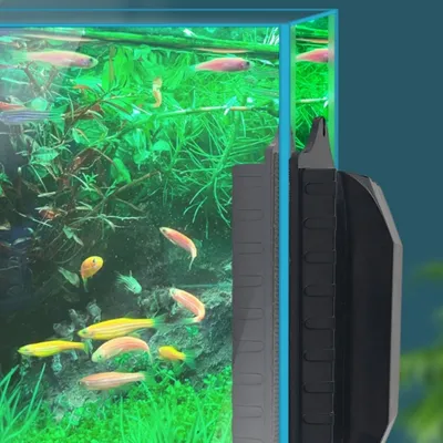 FurryFusion Brosse de nettoyage magnétique pour aquarium