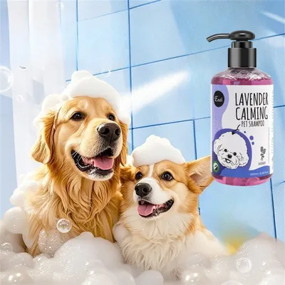 Pet Planet Shampooing pour chien Lavande et menthe
