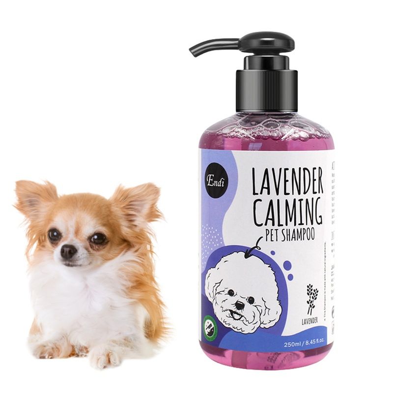 Pet Planet Shampooing pour chien Lavande et menthe