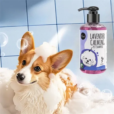 Pet Planet Shampooing pour chien Lavande et menthe