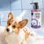 Pet Planet Shampooing pour chien Lavande et menthe