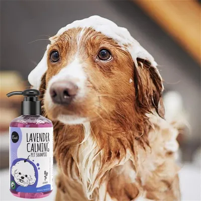 Pet Planet Shampooing pour chien Lavande et menthe