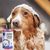 Pet Planet Shampooing pour chien Lavande et menthe