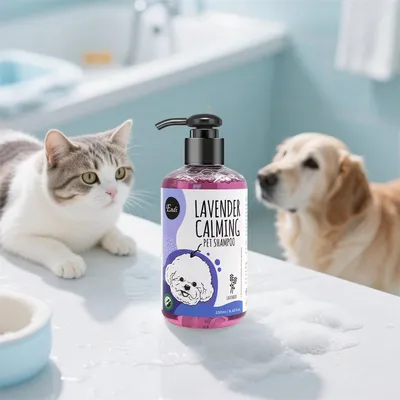Pet Planet Shampooing pour chien Lavande et menthe