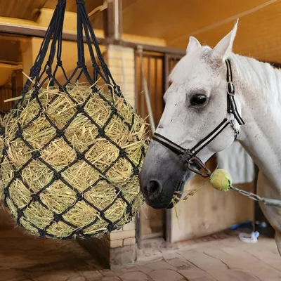 ZooVenture Sac De Rangement De Foin Pour Chevaux Et Moutons