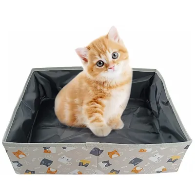 Pet Planet Litière pliable pour chat de voyage