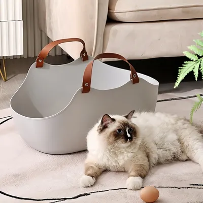 FurryFusion Jouet interactif pour chat avec pointeur laser, rechargeable