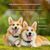 FurryFusion Collier de suivi sans fil pour animaux de compagnie