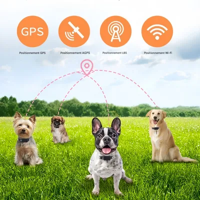 FurryFusion Collier de suivi sans fil pour animaux de compagnie