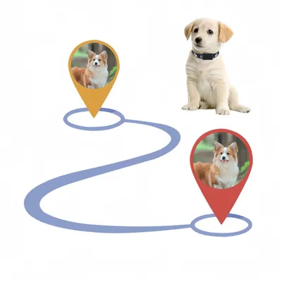 FurryFusion Collier de suivi sans fil pour animaux de compagnie