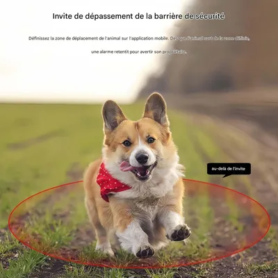 FurryFusion Collier de suivi sans fil pour animaux de compagnie