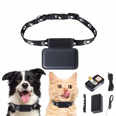 FurryFusion Collier de suivi sans fil pour animaux de compagnie