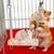 ZooVenture Jouet Suspendu En Bois Pour Petit Animal Comme Hamster