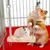 ZooVenture Jouet Suspendu En Bois Pour Petit Animal Comme Hamster