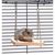 ZooVenture Jouet Suspendu En Bois Pour Petit Animal Comme Hamster