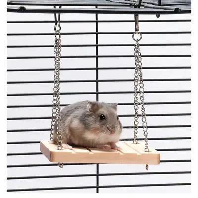 ZooVenture Jouet Suspendu En Bois Pour Petit Animal Comme Hamster