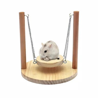 ZooVenture Jouet Suspendu En Bois Pour Petit Animal Comme Hamster ZooVenture Jouet Suspendu En Bois Pour Petit Animal Comme Hamster