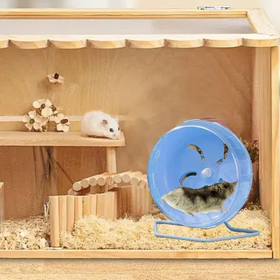 ZooVenture Rueda de ejercicio silenciosa para animales pequeños