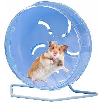 ZooVenture Rueda de ejercicio silenciosa para animales pequeños