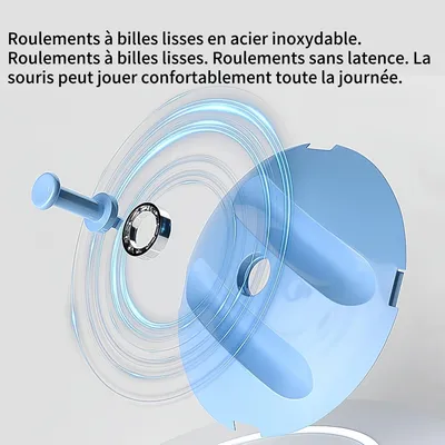 FurryFusion Voiture jouet de fitness pour petits animaux