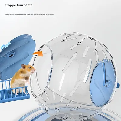 FurryFusion Voiture jouet de fitness pour petits animaux